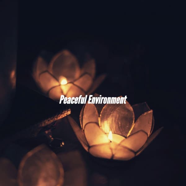 Peaceful Environment - Coffee Shop Jazz Relax