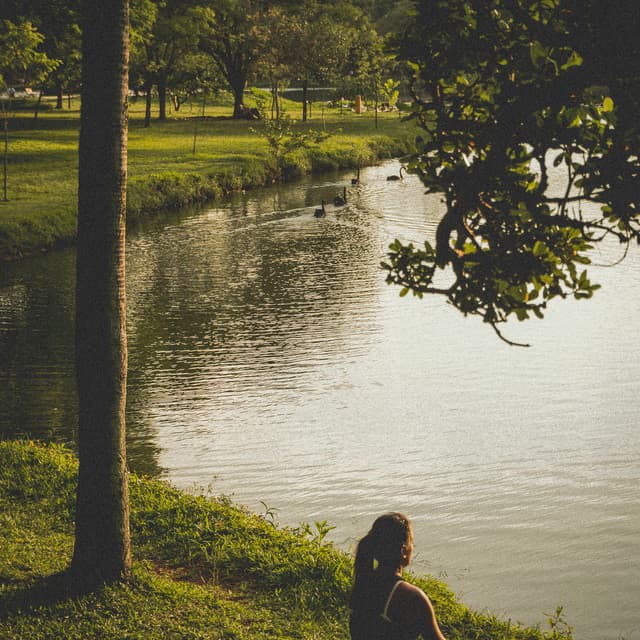 0 Hour Beginnings: Pamper The Mind - Relaxing Music Therapy