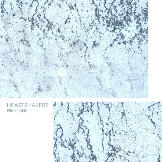 Pretended - Heartshakers