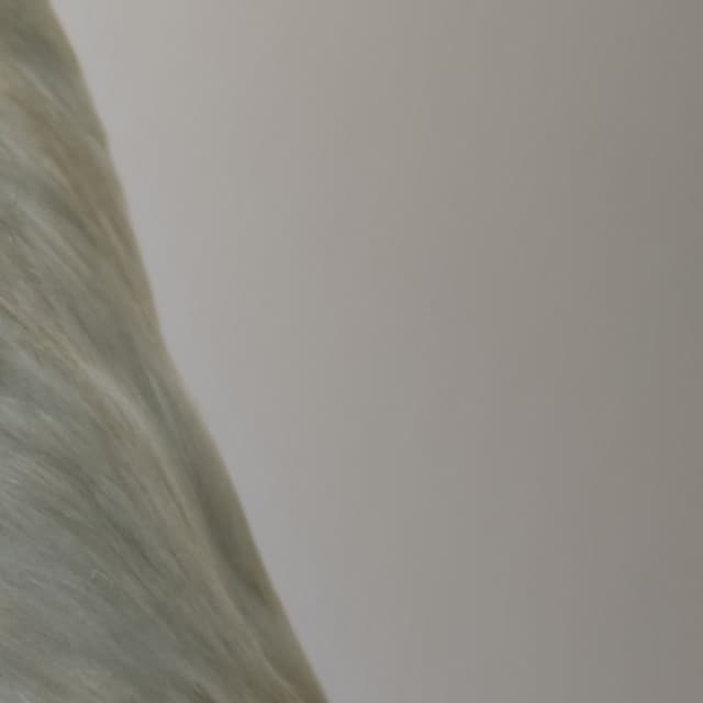 365 Complete Works 25 - Aidan O'Rourke