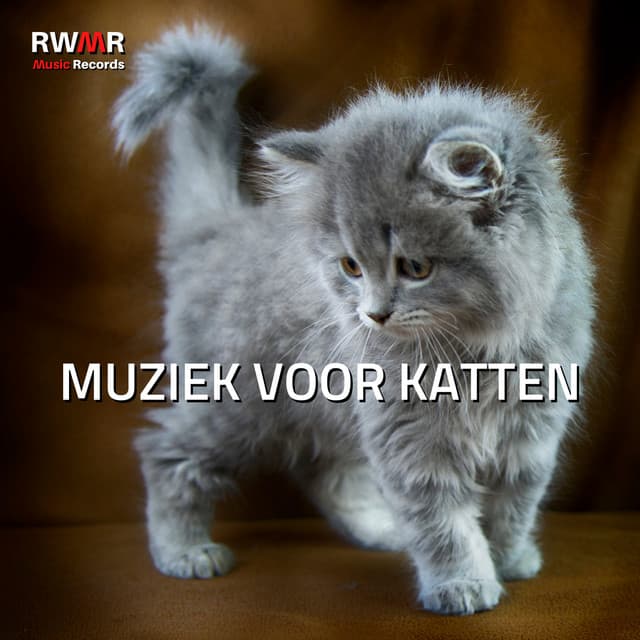 RW Muziek voor kattenoren