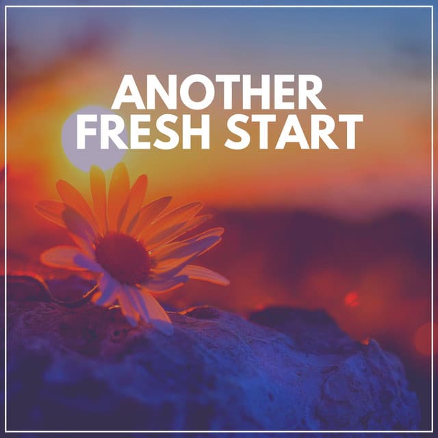 Another Fresh Start - Ambient Sample Library