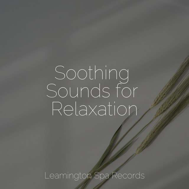 Soothing Sounds for Relaxation - Ambient Music Therpy
