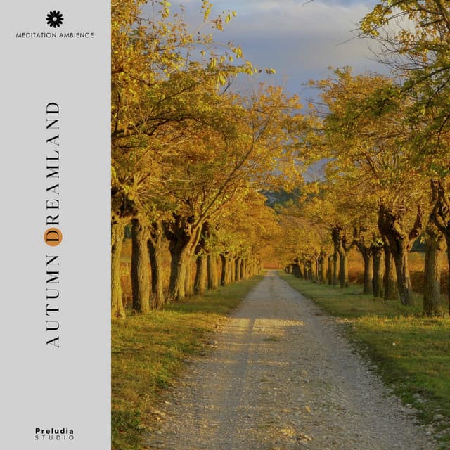 Autumn Dreamland - Meditation Ambience