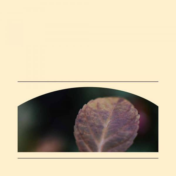 Music - Self Care Days - Cheerful Instrumental Cafe Jazz