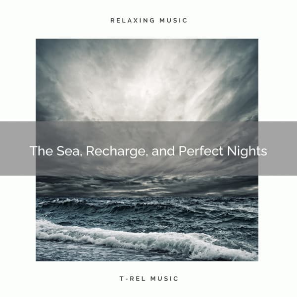 The Sea, Recharge, and Perfect Nights - Ocean Noises