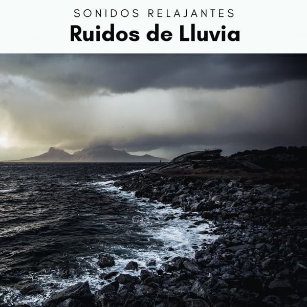 2022 Ruidos de Lluvia - Academia de Música con Sonidos de la Naturaleza