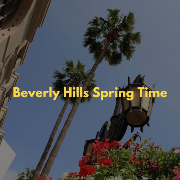 undiscovered routes. - Music for Cooking Playlist