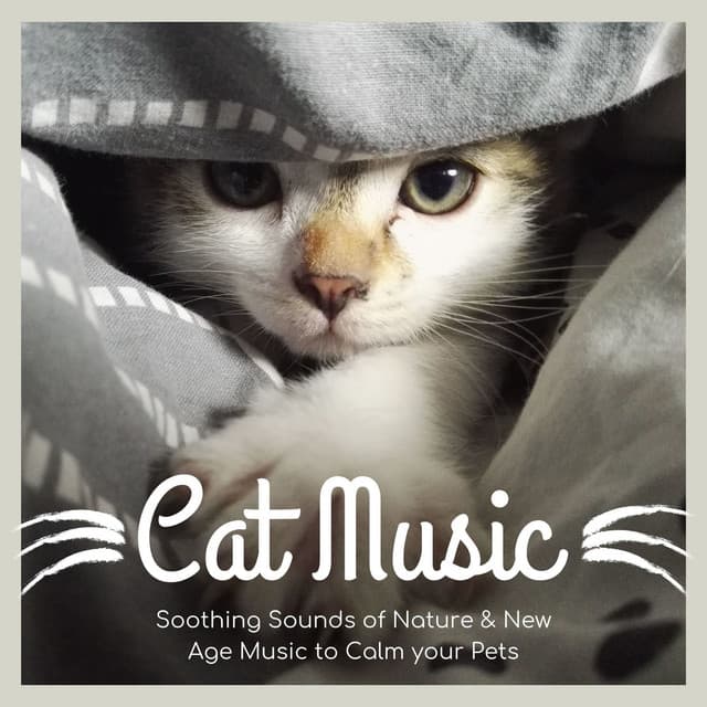 Cat Music: Soothing Sounds of Nature & New Age Music to Calm your Pets - Pet Therapy