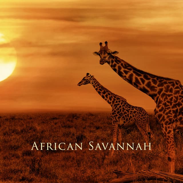 African Savannah: Slow Stress-Busting Meditation Music for Bliss and Tranquility, African Lullabies - Shaman Oyunaa
