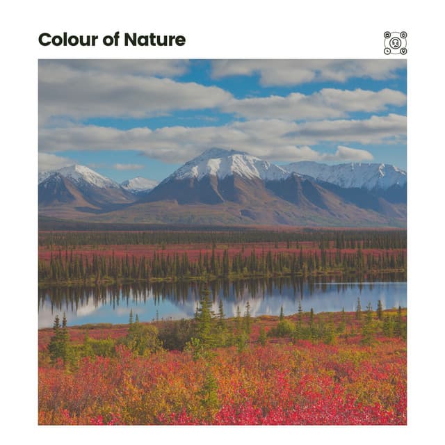 Colour of Nature - Nature & Sounds Backgrounds