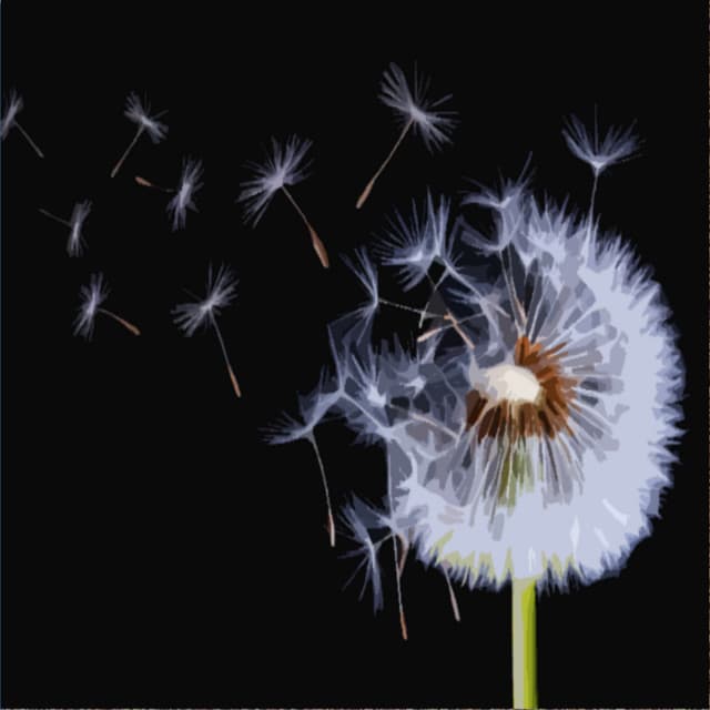 Soothing Wind and Rain for Background Sound and White Noise - Best White Noise