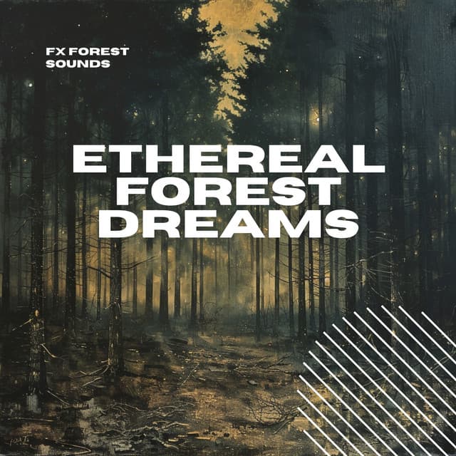 Ethereal Forest Dreams: Relaxing Woodland - FX Forest Sounds