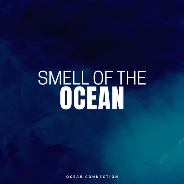 Smell of the Ocean - Ocean Sounds Plus