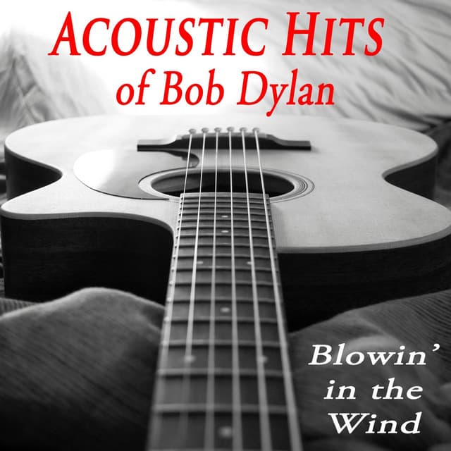 Acoustic Hits of Bob Dylan - Blowin' in the Wind - The O'Neill Brothers Group