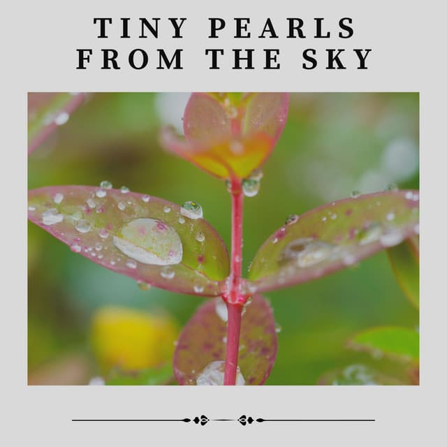 Tiny Pearls from the Sky - Rain Sounds for Relaxation