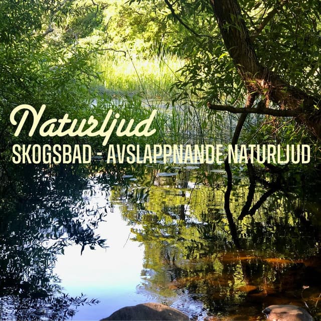 Skogsbad: Avslappnande Naturljud - Naturljud