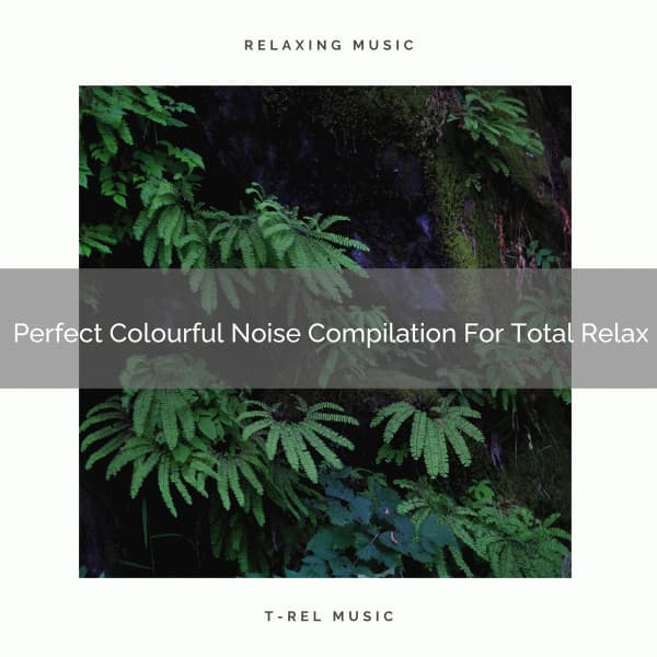 Perfect Colourful Noise Compilation For Total Relax - Sleep & Dream Music Academy