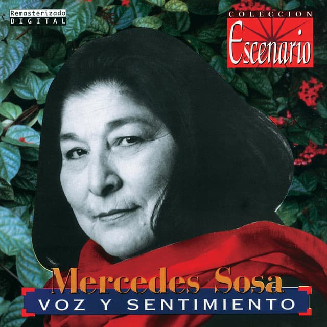 Voz Y Sentimiento - Mercedes Sosa