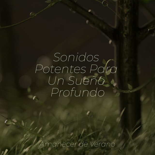Sonidos Potentes Para Un Sueño Profundo - Canciones Infantiles de Niños