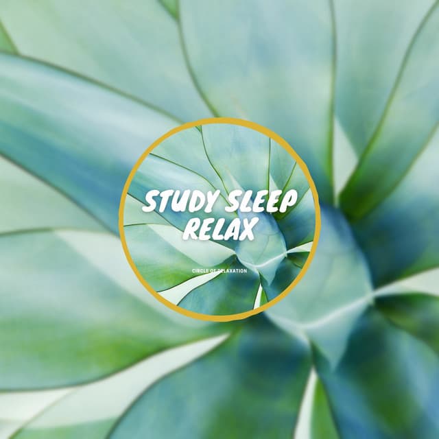 Study, Sleep, Relax - Peaceful Relaxing Music - Circle of Relaxation