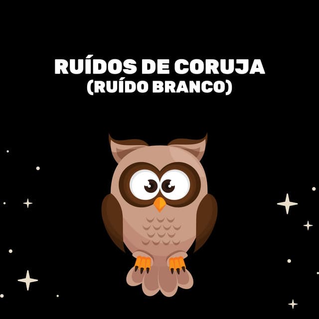 Ruídos De Coruja - Medicina Relaxante