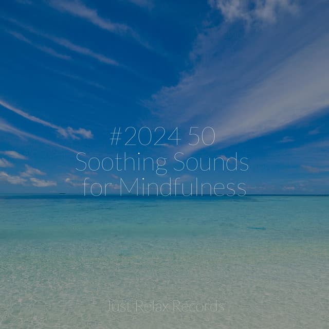 #2024 50 Soothing Sounds for Mindfulness - Sonidos de la Naturaleza Relajacion
