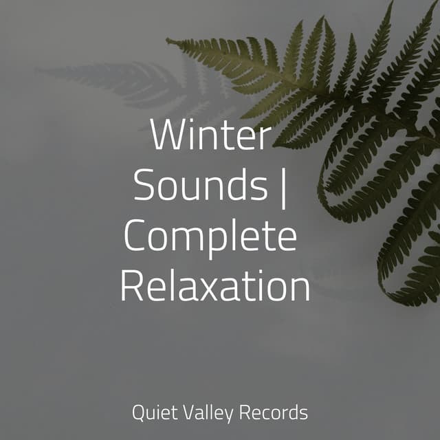 Winter Sounds | Complete Relaxation - Spa & Spa
