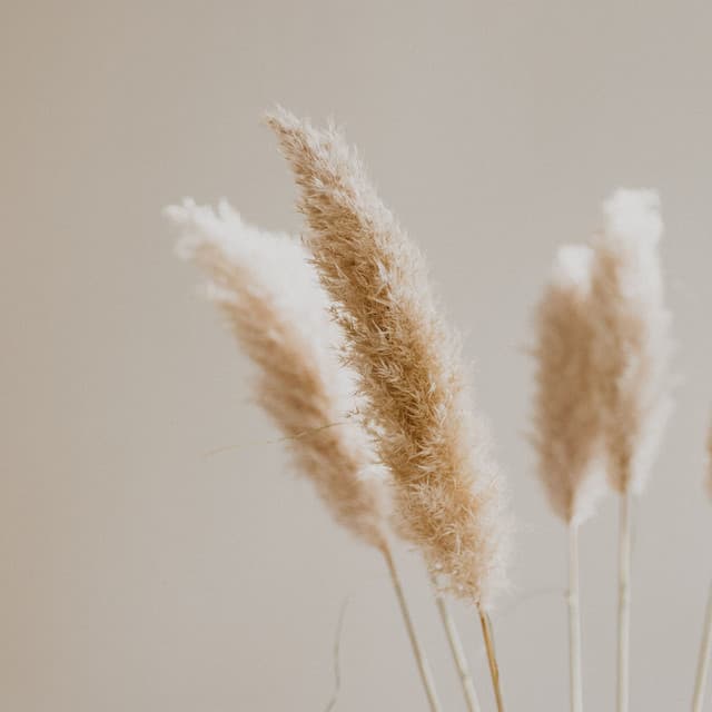 Spiritual Nature Infused Melodies - Lluvia