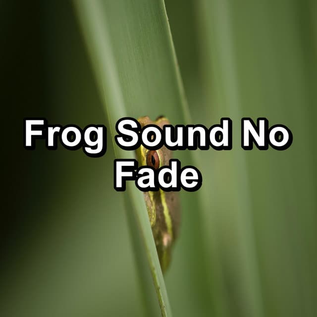 Frog Sound No Fade - Organic Nature Sounds