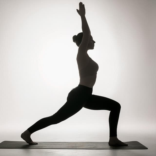 Flujo De Yoga Lofi: Paisajes Sonoros Armoniosos - Curva del destino