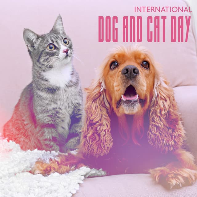 International Dog and Cat Day - Pet Relax Academy