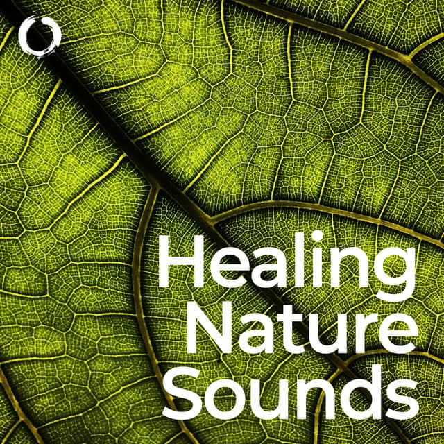 Healing Nature Sounds: Stress Relief and Well-being - Chanting Buddhist World