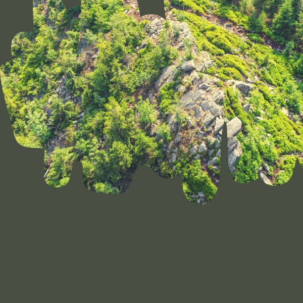 Spectacular Background Music for Enjoying Nature - Alegre Música para Oficinas