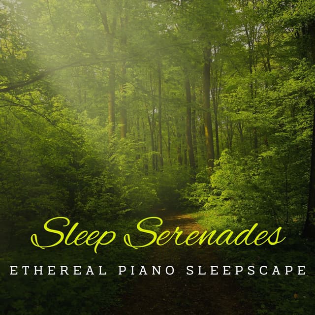 Piano Dreamscapes: Nature's Sleep Serenades - Relaxing Piano Radio