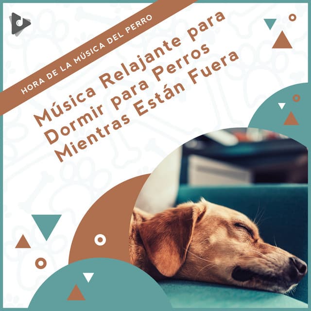 Música Calmante para Cachorros