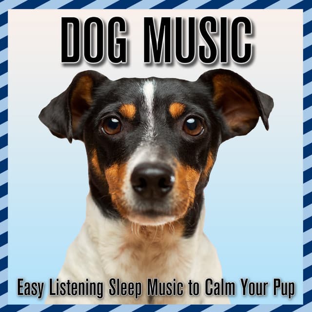 Dog Music: Easy Listening Sleep Music to Calm Your Puppy - Relaxmydog