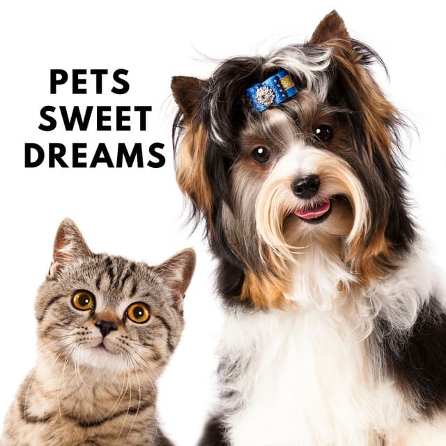 Pets Sweet Dreams: Calming Music for Pets, Relaxing Dog Music, Peaceful Puppies, Sleep Aids, Pet Relaxation, Stress Relief, Lullaby - Sleep & Dream Music Academy