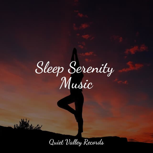 Sleep Serenity Music - Natural Sound Makers