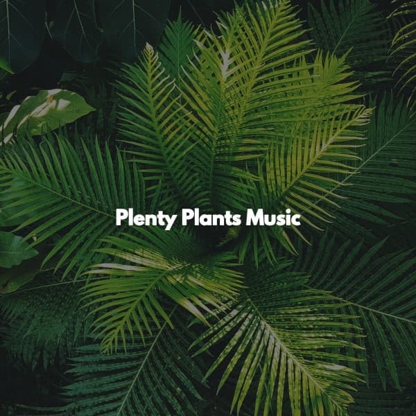 Plenty Plants Music - Hintergrund Jazz Musik