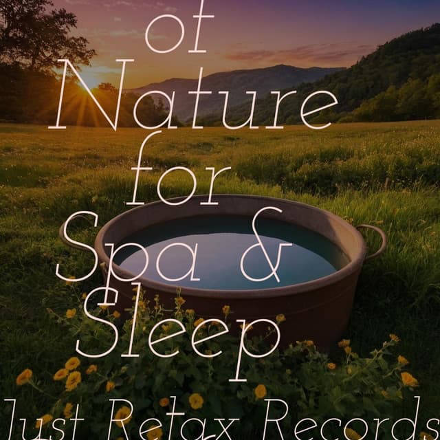 50 Deeply Relaxing Sounds of Nature for Spa & Sleep - Comforting - Thunderstorm Sound Bank