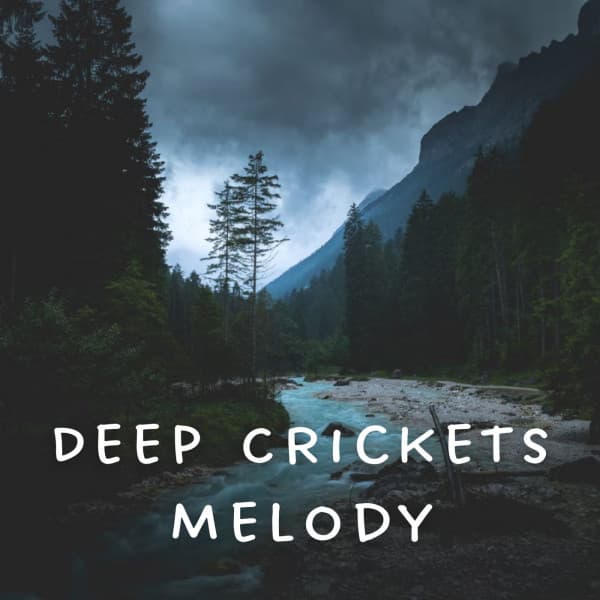Deep Crickets Melody - Yoga Music Spa