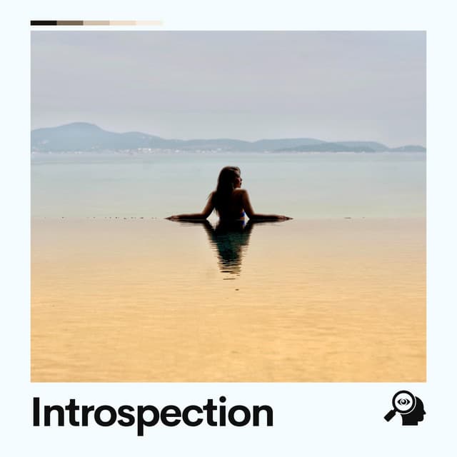 Introspection - Healing Music Spirit