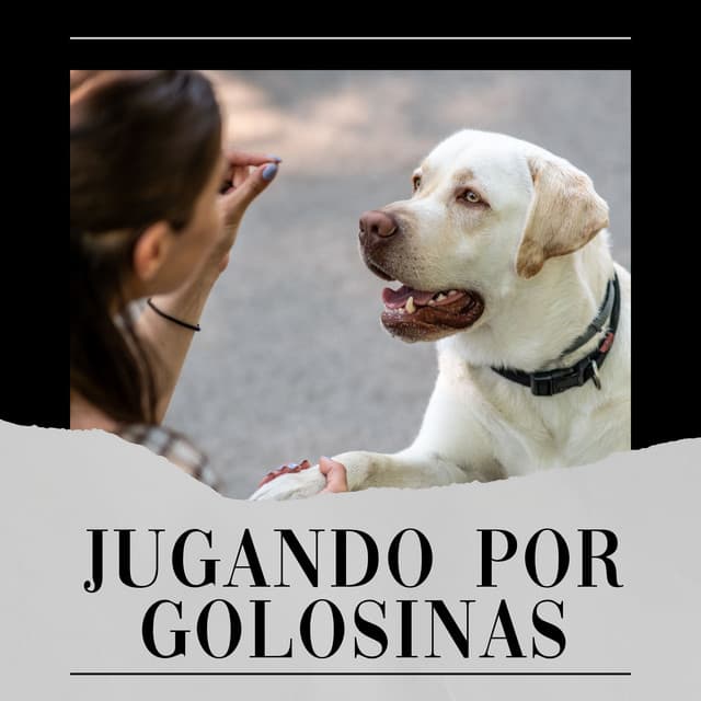 Jugando por Golosinas - Biblioteca de Música Para Mascotas