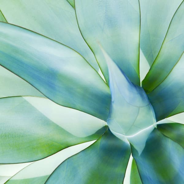 Astounding Background Music for June and Chill - Jazzy VIbes for Study Time