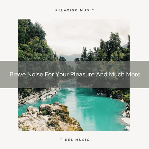 Brave Noise For Your Pleasure And Much More - The White Noise Zen & Meditation Sound Lab