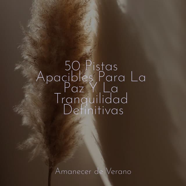 50 Pistas Apacibles Para La Paz Y La Tranquilidad Definitivas - Deep Sleep Relaxation