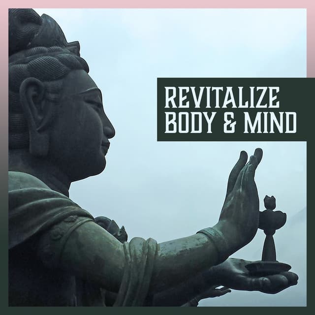 Revitalize Body & Mind: Healing Hands, Stress Relief Music, Deep Concentration, Massage Time, Sounds for Yoga - Healing Touch Zone
