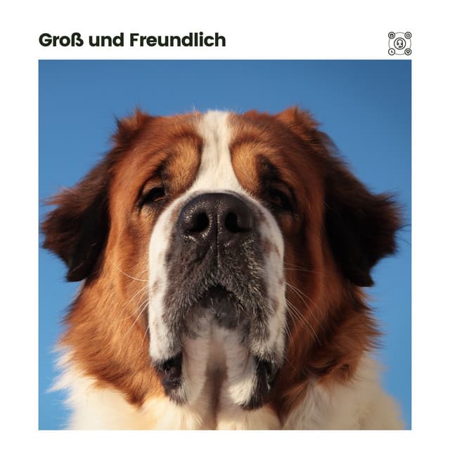 Groß und Freundlich - Hundemusik