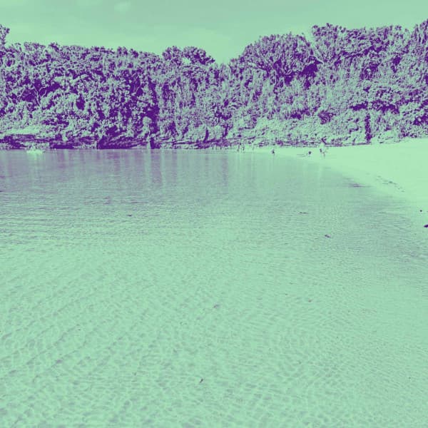 Music for Timeless Pleasures - Warm Piano Bossa Nova Duo - Coffee and Jazz